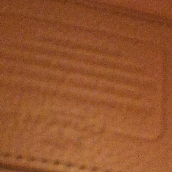 Coach Spring Hobo - Picture 3 of 5